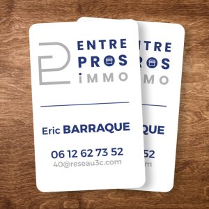 Logo EntrePros Immo - Eric Barraque - Tarnos
